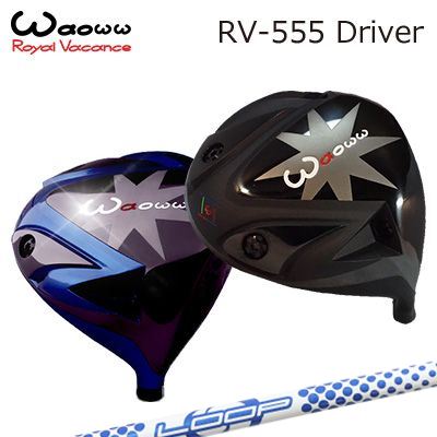 RV-555 Driver Loop Prortotype BW